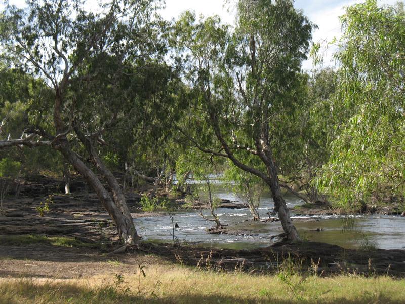 Lakefield National Park - Walkabout 2009